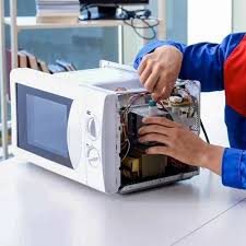 Microwave repair service